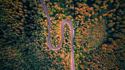 Aerial drone view of a winding mountain road in the Carpathians, cutting through dense forests and rugged terrain.