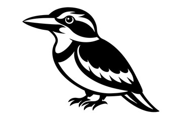 Vector design of the kookaburra bird on a white background