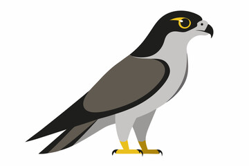 Fototapeta premium Madagascar sparrowhawk bird vector illustration on a white background