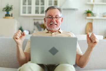 Excited middle aged senior man euphoric winner. Older mature grandfather looking at laptop reading...