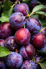 Fresh ripe plums arranged with green leaves in a natural setting.