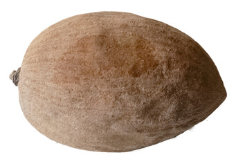 Whole Mammy Sapote