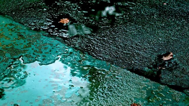 にわか雨がアスファルトや石の硬い地面に降って滴が跳ねる