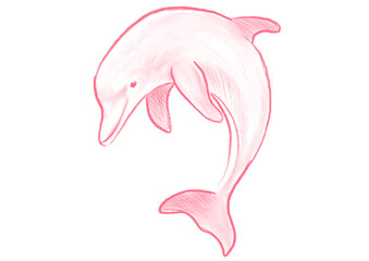 Dolphin delfin © greta