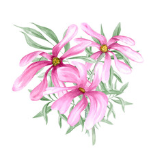 Wild tropical three pink flowers and green eucalyptus branches bouquet watercolor illustration. Leaves and abstract magnolia flower hand drawn composition for invitation, greetings, package decor