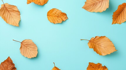 Fototapeta premium A circle of yellow leaves on a light blue background with a blue surface beneath it