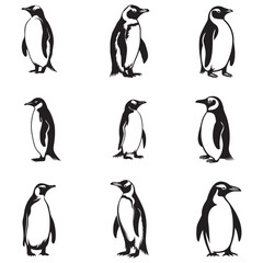 Penguin Silhouette Vector Art Illustration, Animal Isolated On White Background, Penguin Silhouette