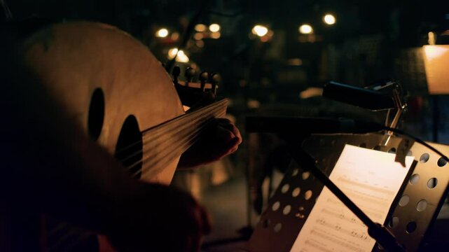Arabic Oud instrument played in dark spot of the orchestra hall during concert.