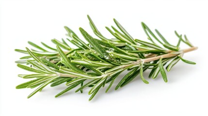 Fototapeta premium aromatic rosemary sprigs isolated on crisp white background detailed macro shot reveals textures and essential oil droplets soft shadows add depth