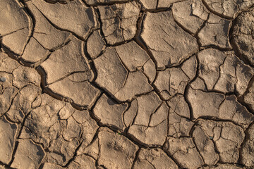 Dry ground as background. The concept of thirst, dehydration.