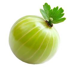  Berries - Gooseberry. A single, green Gooseberry with visible veins on the skin, isolated on transparent backdrop.