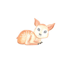 Fototapeta premium Deer watercolor. Hand draw watercolor illustrations on white background. Deer watercolor for design