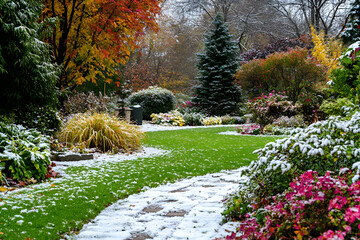 Beautiful garden pathway covered in light snow, winter garden scenery, colorful autumn foliage, snowy landscape, serene garden view, green lawn, nature photography, seasonal beauty

