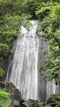 Tropical jungle waterfall in El Yunque National Forest Puerto Rico, La Loca Falls, Cascada La Loca, soothing sounds