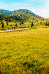 Romania Transalpina road with many serpentines crossing forest in  Carpathian mountains. Mountains forest trees with road in Parang mountains