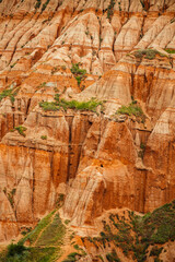 Red rocky slopes Rapa Rosie is a protected geological and floristic reservation area near Sebes alba in Romania