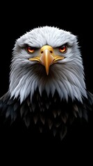 Fototapeta premium A powerful black eagle head with piercing red eyes, artistically rendered in a symmetrical design with strong contrasts on a black background
