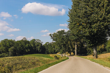Asphalt road through field, meadow and forest. Beautiful summer landscape with trees along the roadside. Concept of a journey into the unknown. Scenic countryside background.