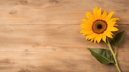Obraz premium A bright sunflower stands out against a rustic wooden backdrop, showcasing its vibrant yellow petals and lush green leaves