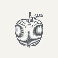 Apple. Vintage woodcut engraving style vector illustration.