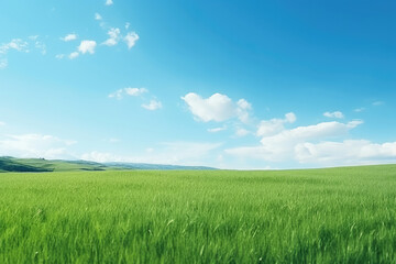 Obraz premium Serene Green Field Under a Blue Sky - Stunning Landscape Photography
