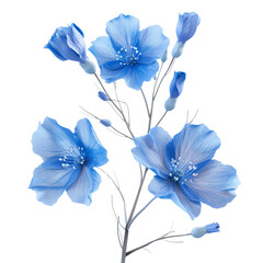 Fototapeta premium Delicate Blue Flowers