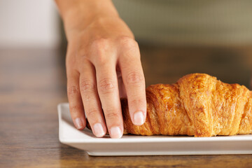 Person serving handmade croissant in bakery. Close-up portrait of croissant on white plate. The perfect breakfast, grilled croissant