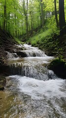 Obraz premium Trusetaler Waterfall shimmering under sunlight in forest backdrop image