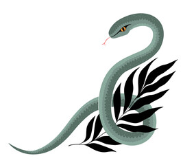 Snake wraps around the leaf. Beautiful png graphic illustration on transparent background
