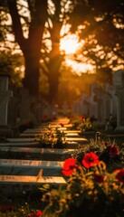 Obraz premium Remembrance Day Countryside Graveyard with Sunlit Poppy-Adorned Gravestones