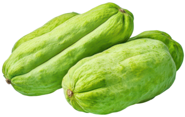Long green chayote squashes. Elongated shape, vibrant green colour. Transparent background with copy space.