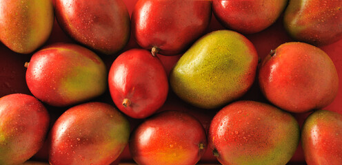 background of ripe mangos
