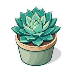 succulent rosette sitting in a ceramic pot