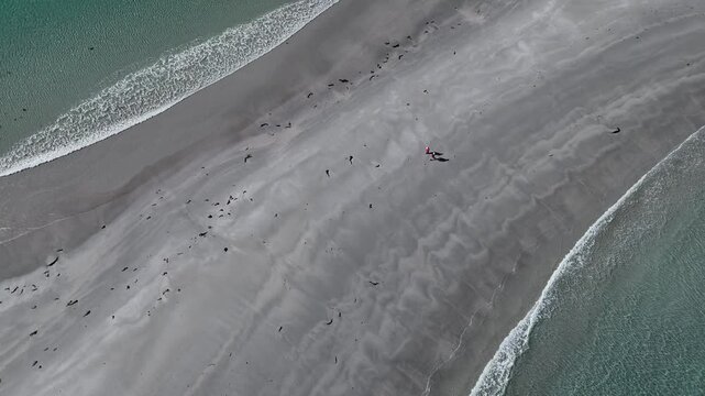 Tourists walking across sandbar of Diamond Island in Bicheno Tasmania, Australia aerial shot