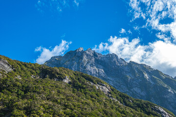 Fototapeta premium Colour Photo Mountains in Milford Sound South Island New Zealand