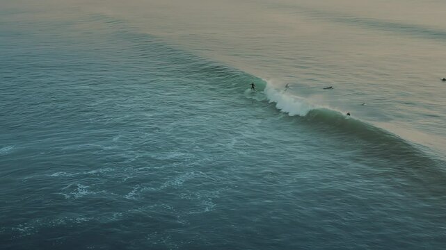 Group of surfers riding blue ocean waves at golden sunset by the beach. Surfers in surfing suits catching big waves in the sea with golden light in the background. Practicing extreme sport, surf sessi