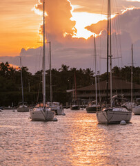 sunset in the harbor miami coconut grove