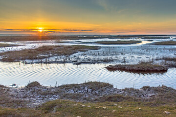 Aerial view over salt marsh plains Wadden Sea