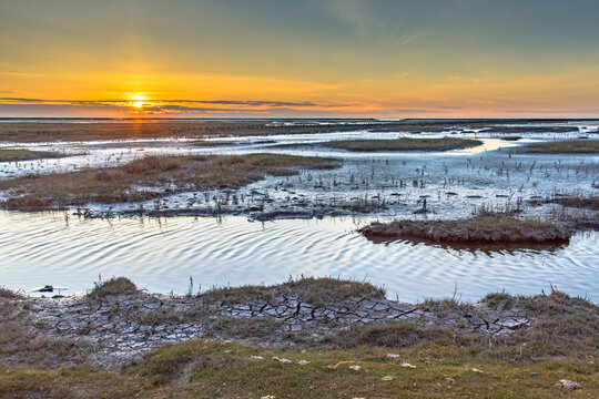 Aerial view over salt marsh plains Wadden Sea