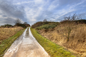Dirt road through Winter Landscape