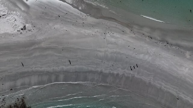 People walking on sandy path connecting Diamond Island at beach, Tasmania in Australia. Aerial top-down view and slow-motion