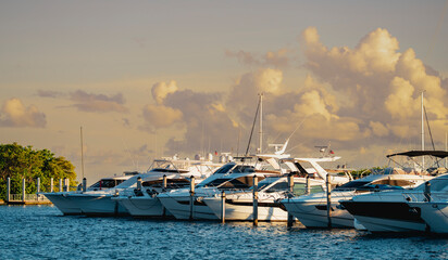 Fototapeta premium boats in marina coconut grove miami 