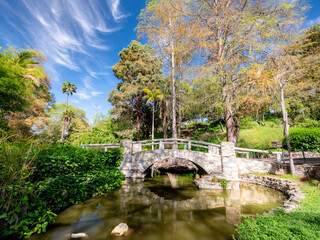 bridge inside green meadow 