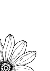 Flowers postcard vector floral card background. Wildflower sunflower plant botanical illustration. Vintage sketch poster hand drawn for wallpaper, design weddin invitation, greeting, business card