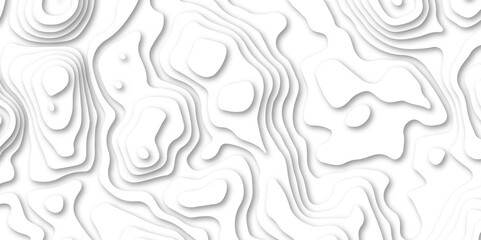 Fototapeta premium Abstract White paper cut background with lines.3d realistic papercut decoration textured with wavy wallpaper luxury wallpaper texture and 3d realistic design use for banner flyers, posters.