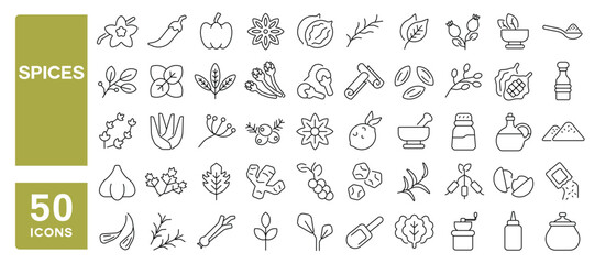 Set of 50 line icons related to spices, herbs, vanilla, clove, pepper, cinnamon, anise, ginger, nutmeg, oregano, fennel, tarragon, caraway, parsley, rosemary, Editable stroke. Vector illustration