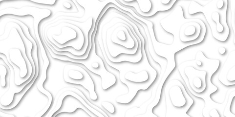 Abstract White paper cut background with lines.3d realistic papercut decoration textured with wavy wallpaper luxury wallpaper texture and 3d realistic design use for banner flyers, posters.