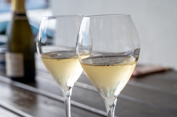 Tasting of brut and reserve grand cru champagne sparkling wine produced by traditional method in Mesnil-sur-Oger in Champagne, France