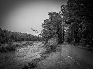 Obraz premium Black and White photo Glacial River South Island new Zealand