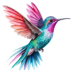 watercolor Hummingbird clipart, flying hummingbird isolated on white background
